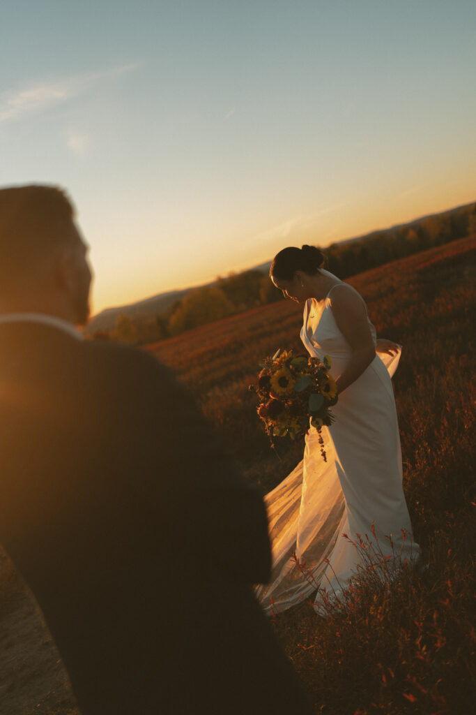 Bride’s veil blowing in the breeze at Schoodic Point, Acadia National Park.