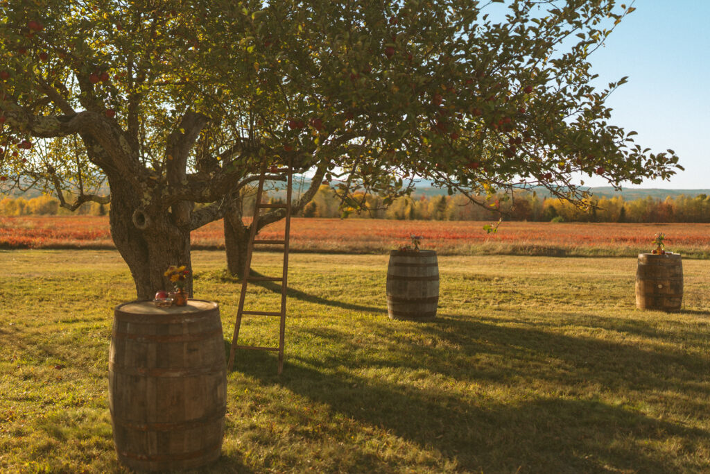 Backyard wedding details in Ellsworth, Maine
