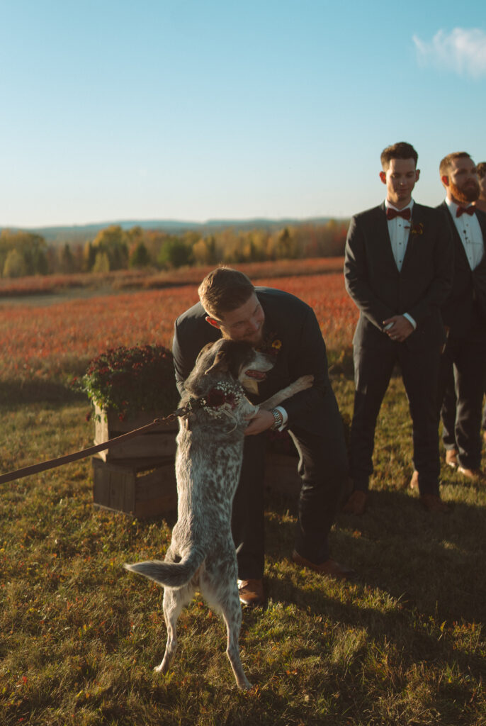 Backyard wedding details in Ellsworth, Maine